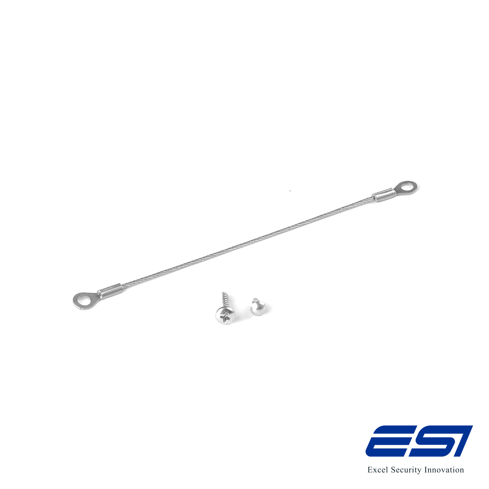 ARM SAFETY KIT Armature Safety Strap, strap and fixing screws